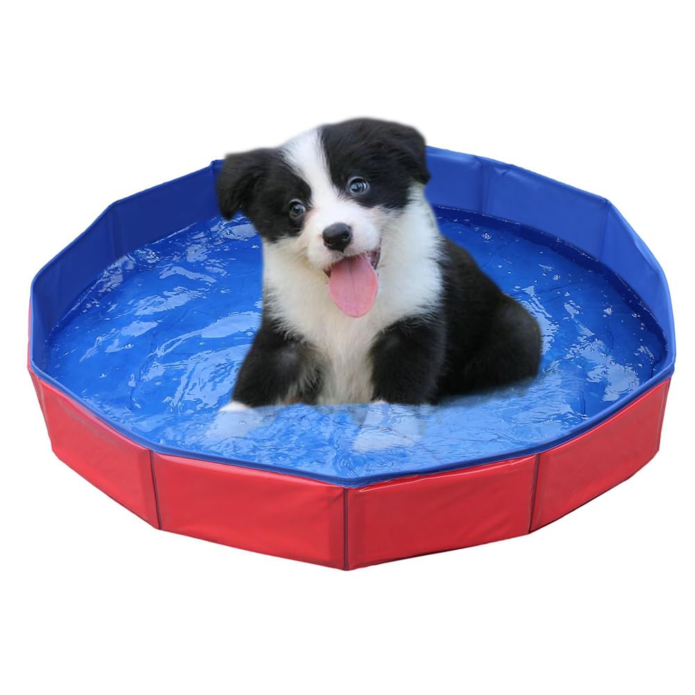 Foldable Dog Pool, Dog Pool for Small Dogs, Dog Swimming Pool, PVC Dog Pool, Swimming Pool for Dog, Non-Slip Paddling Pool for Dogs, Swimming Pool for Dog, Children's Swimming Pool, 50 x 8 cm, 1 Piece