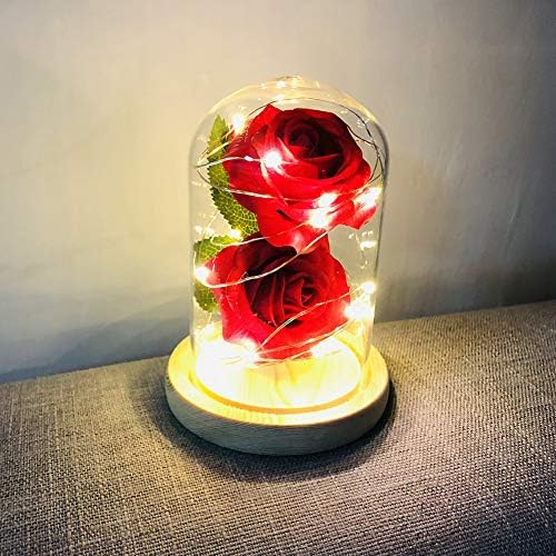 Warmmie Beauty and The Beast Preserved Fresh Rose Flower Light in a Glass Romantic Wooden Base Valentine's Day Birthday Anniversary (Red)