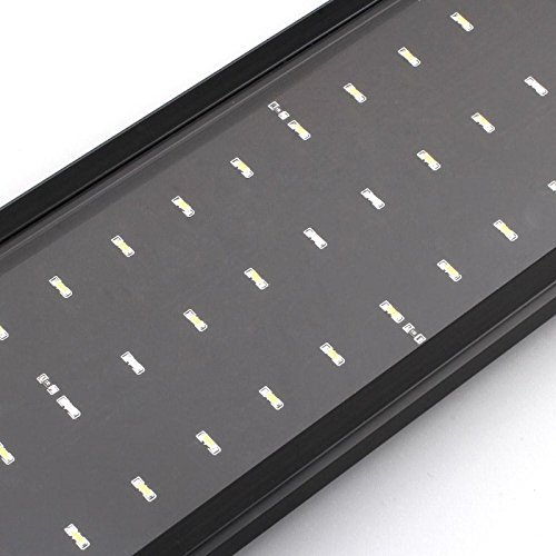 Deckey 25W 144 LED Aquarium Fish Tank Extendable Light LED Blue and White Color Changing Frame Fish Lamp