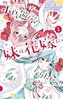 小鳥遊家の妹は花嫁になりたいっ!! 第2巻