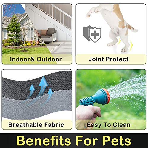 BABYLTRL Elevated Dog Bed Dog Cot with Mesh Center, Raised Dog Bed Pet