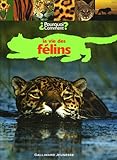 La vie des félins by 