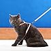 Niteangel 2-Pack of Adjustable Cat Harness & Leash (Pink & Green)