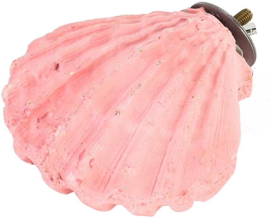 Edible Calcium Clam Parrot Perch, Edible Calcium Parrot Perch for Birds Like Budgie Budgie Mineral Block