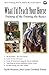 What I'd Teach Your Horse: Training & Re-Training the Basics (Horse Training How-To) (Volume 8) by Keith Hosman