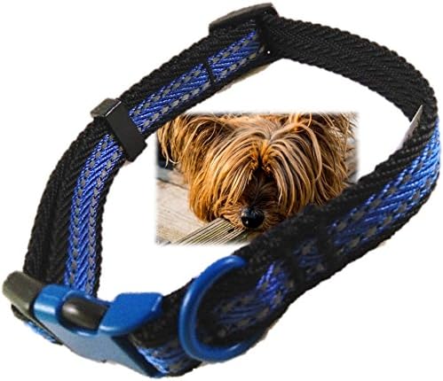 Genie Best Reflective Dog Collar With Metal Buckle &amp; D-Ring For Medium Dogs. Free Leather Keychains &amp; eGuide (Blue)