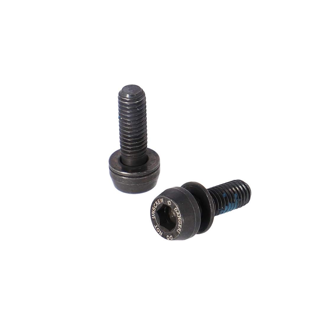 Campagnolo Disc Brake Front Caliper Bolts, Black, One Size