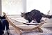 Pet Magasin Luxury Cat Hanging Bed – Heavy Duty Hammock Style Pet Perch with Simple Installation for Cats, Small Dogs & Other Animals