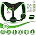 Clavicle Brace Neck Hump Corrector, Posture Corrector for Women & Men, Magnetic Upper Back Brace Slouch Posture Support, Upright Posture Trainer, Back Straightener, Best Scoliosis Primate Brace (S-L)