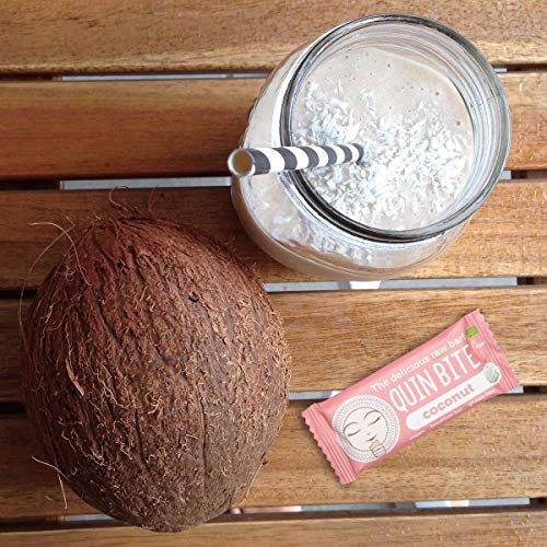 Bio Kokosnuss Rohkost Riegel – Bild 4