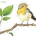 DECOWALL DWL-1804N Garden Birds on Tree Branch Kids Wall Stickers Wall Decals Peel and Stick Removable Wall Stickers for Kids Nursery Bedroom Living Room décor