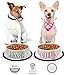 Personalized Dog Bowl –Customizable Pet Name 3D Print Design 32 Oz Stainless Steel Bowls With Anti-Skid Rubber Base for Food or Water Perfect Dish for Dog Puppy Cat and Kitten