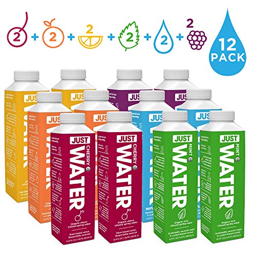 JUST Water Flavor Sampler Pack | Spring Water Infused with Organic Fruit - Eco-Friendly Boxed Bottled Water | Zero Sugar, Artificial Flavors,or Sweeteners, Alkaline pH of 8.0 | 16.9 fl oz (Pack of 12)