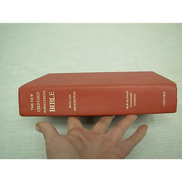 The Skeptic's Annotated Bible Hardcover – February 15, 2013