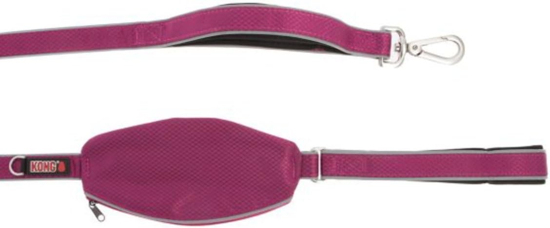 kong reflective traffic dog leash