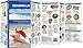Seashells: A Folding Pocket Guide to Familiar North American Species (Wildlife and Nature Identification)