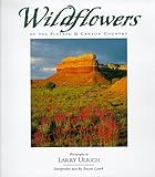 Front cover for the book Wildflowers of the Plateau and Canyon Country by Larry Ulrich