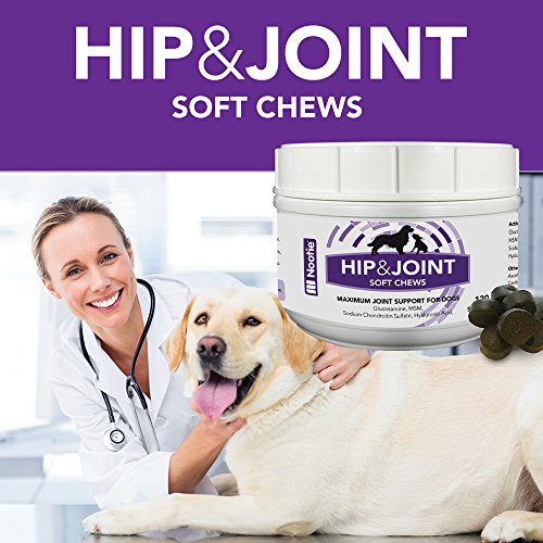 Nootie Glucosamine Chondroitin Dog Treats, Hip & Joint Support Pain
