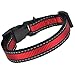 Mile High Life Night Reflective Two Stripes 3 Colorways Nylon Dog Collar (Red/Black, Mediun Neck 14