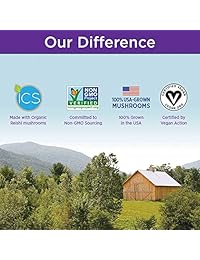 Nuevo Capítulo Reishi hongo, 727783002419, 1