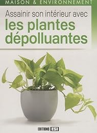 Assainir son intérieur avec les plantes dépolluantes