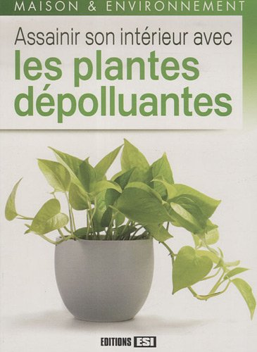 Assainir son intérieur avec les plantes dépolluantes