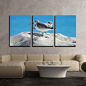 Cuban Seagulls x3 Panels