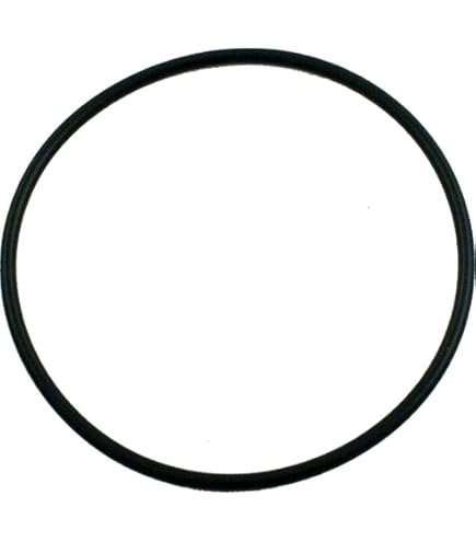 その他 1 Amazon.com: Pentair 273062 O-Ring Replacement Pool/Spa Pump