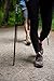 Cascade Mountain Tech Twist Lock Trekking Poles - Lightweight Carbon Fiber with Cork Grip, and Anit-Shock for Walking and Hiking Poles