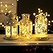 Led Fairy String Lights by Toums-UNI, Firefly Outdoor Lights, Seasonal Indoor Lights, Decoration Waterproof Cooper Lights