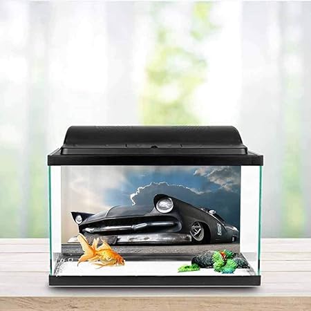 custom made fish tank decorations