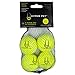 Hyper Pet Mini Tennis Balls (4 Pack) primary
