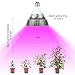 MORSEN Grow Light Bulb, 50W