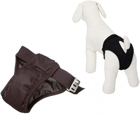 paws for life near me