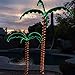 Green LongLife 4.5-Feet Decorative Lighted Palm Tree - Holographic Rope Light for Indoor and Outdoor Use