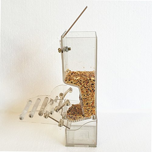 6 Evursua+Accessories+Budgerigar+Cockatiel+Parakeet