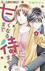 甘くなるまで待てません 第4巻