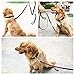 Taglory Premium Leather Dog Leash 6 Foot x 5/8 Inch, Braided Latigo Leather Training Leashes for Medium and Large Dogs, Brown
