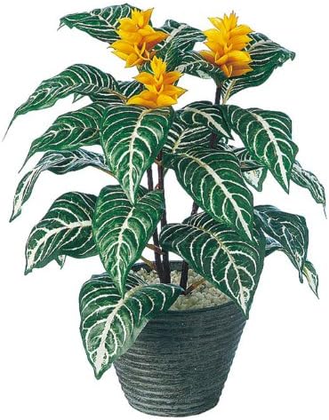 Amazon Co Jp エフプランター 人工観葉植物 ダニア 40 5号鉢 Pラウンドs Bk ホーム キッチン