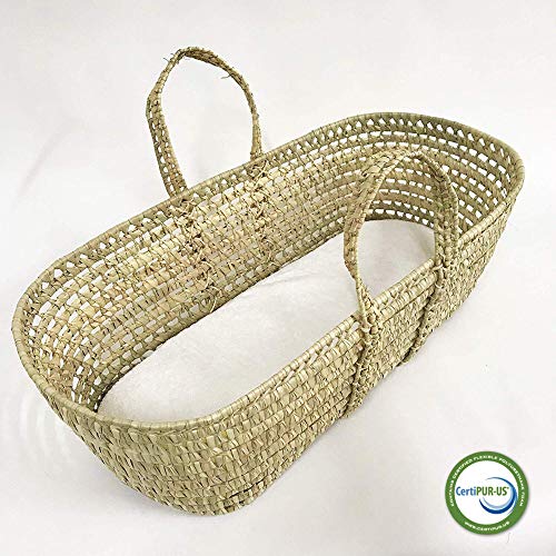 Tadpoles Moses Basket Foam Pad with Removable Terry Cotton Covers