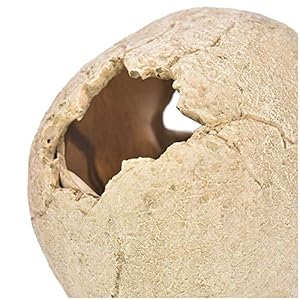 LUCKFY Fish Tank Decoration Rettile Hideout Skull Acquario Rettilario del Cranio della Resina Cave Famiglia giornaliera… - immagine 7