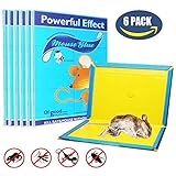 Mouse Glue Trap, Rat Glue Traps, Super Sticky & Extra Large, Best Peanut Butter Scented Mouse Traps Glue Board Mice & Rodent &Pests & Bug & Ant & Spider - 6 Pack