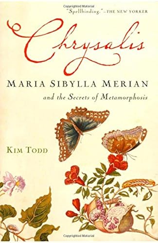 Download Chrysalis: Maria Sibylla Merian and the Secrets of Metamorphosis PDF