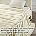 RISAR Flannel Luxury Throw Size Blanket Soft Warm Cozy Plush Throw Fuzzy Microplush Lightweight for Bed Sofa Couch 50 by 60 Inches,Ivory