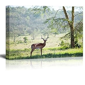 Canvas Prints Wall Art - Antelope Gemsbok in African Savannah | Modern Wall Decor/Home Art Stretched Gallery Wraps Giclee Print & Wood Framed. Ready to Hang - 12" x 18"