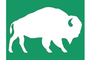 DGAGA Bison Self-Adhesive Silk Screen Stencils Farm Animal Screen Printing Stencils Reusable Buffalo Stencil for Craft Mesh Transfer for Painting on Wood Fabric Home Fall Farmhouse Decor 8.5x11IN