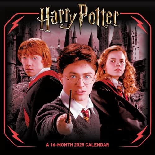 Harry Potter and the Deathly Hallows 19 Month 2011-2012 Calendar