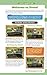 Animal Crossing: New Leaf: Prima Official Game Guide