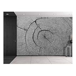 The Inner Works of a Tree - Wall Mural, Removable Sticker, Home Decor - 66x96 inches