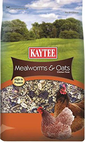 Kaytee Mealworms and Oats Treat, 3 Pound